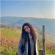 Laureata magistrale in Storia offre tutoraggio personalizzato a studenti di ogni età a Torino e online, con metodo efficace